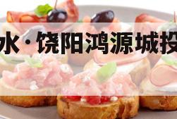 衡水·饶阳鸿源城投债权
