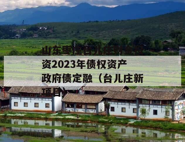 山东枣庄台儿庄财金投资2023年债权资产政府债定融（台儿庄新项目）