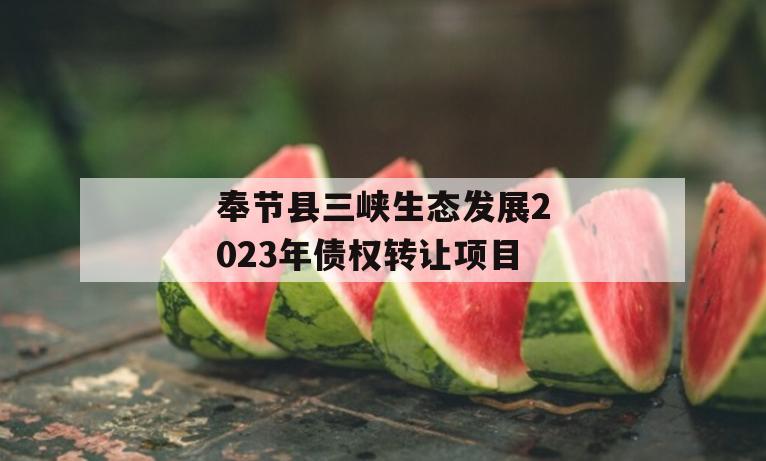 奉节县三峡生态发展2023年债权转让项目
