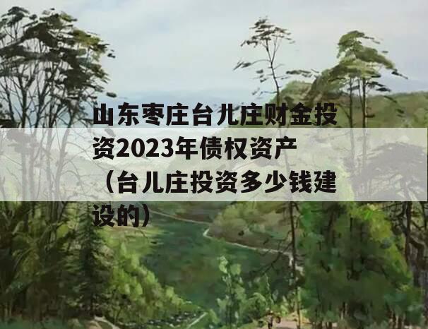 山东枣庄台儿庄财金投资2023年债权资产（台儿庄投资多少钱建设的）