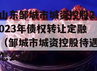 山东邹城市城资控股2023年债权转让定融（邹城市城资控股待遇怎么样）
