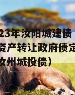 2023年汝阳城建债权资产转让政府债定融（汝州城投债）