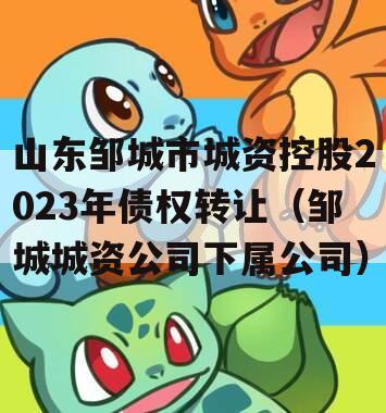 山东邹城市城资控股2023年债权转让（邹城城资公司下属公司）