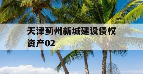 天津蓟州新城建设债权资产02