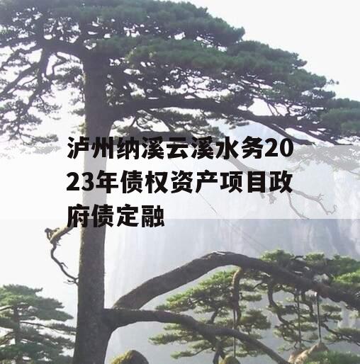 泸州纳溪云溪水务2023年债权资产项目政府债定融