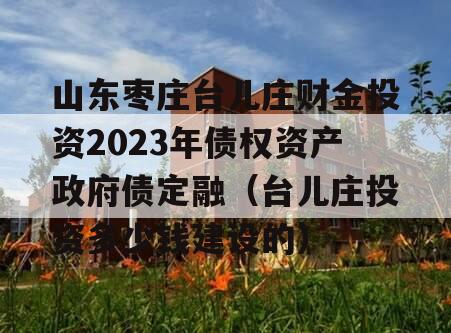 山东枣庄台儿庄财金投资2023年债权资产政府债定融（台儿庄投资多少钱建设的）