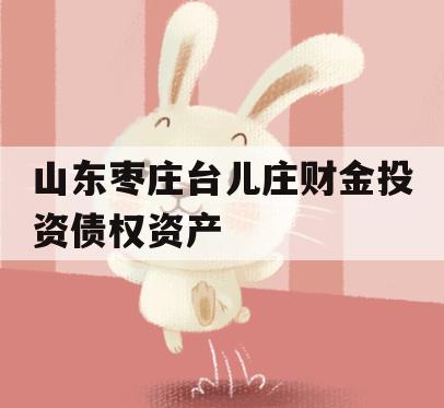 山东枣庄台儿庄财金投资债权资产