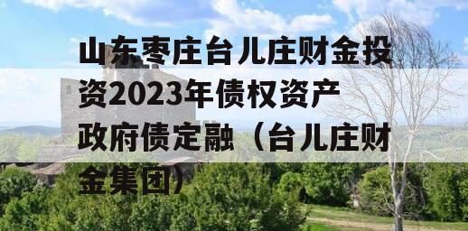山东枣庄台儿庄财金投资2023年债权资产政府债定融（台儿庄财金集团）