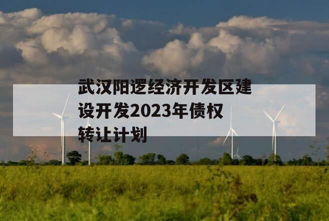 武汉阳逻经济开发区建设开发2023年债权转让计划