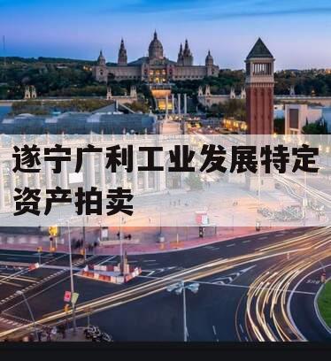 遂宁广利工业发展特定资产拍卖