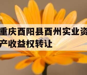 重庆酉阳县酉州实业资产收益权转让