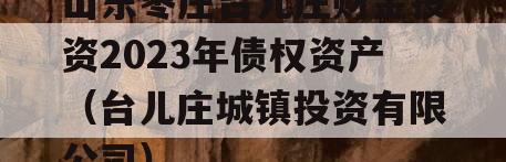 山东枣庄台儿庄财金投资2023年债权资产（台儿庄城镇投资有限公司）