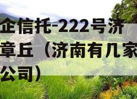 央企信托-222号济南章丘（济南有几家信托公司）