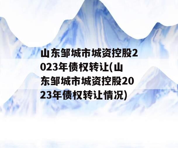 山东邹城市城资控股2023年债权转让(山东邹城市城资控股2023年债权转让情况)