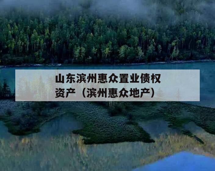 山东滨州惠众置业债权资产（滨州惠众地产）
