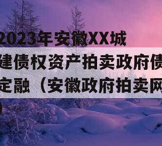 2023年安徽XX城建债权资产拍卖政府债定融（安徽政府拍卖网）