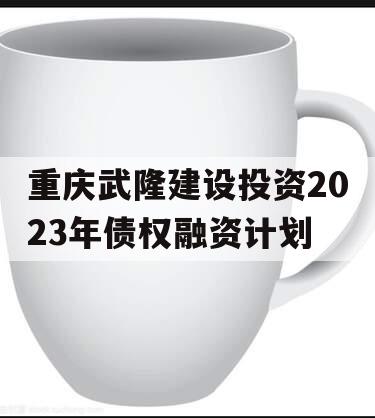 重庆武隆建设投资2023年债权融资计划
