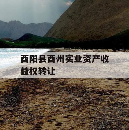 酉阳县酉州实业资产收益权转让