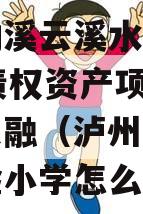 泸州纳溪云溪水务2023年债权资产项目政府债定融（泸州纳溪云溪实验小学怎么样）