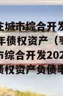 枣庄城市综合开发2023年债权资产（枣庄城市综合开发2023年债权资产负债率）