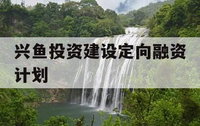 兴鱼投资建设定向融资计划