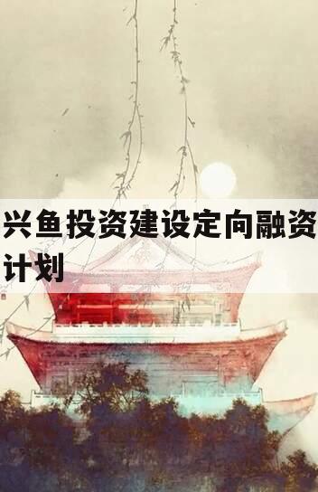 兴鱼投资建设定向融资计划