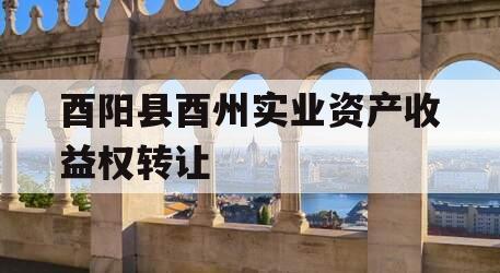 酉阳县酉州实业资产收益权转让