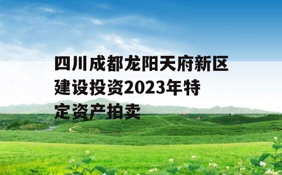 四川成都龙阳天府新区建设投资2023年特定资产拍卖