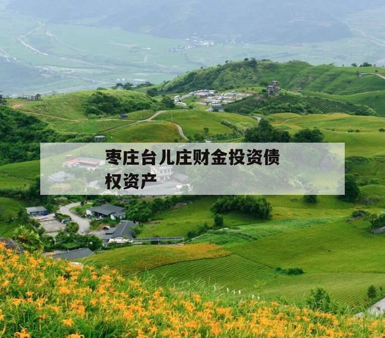 枣庄台儿庄财金投资债权资产