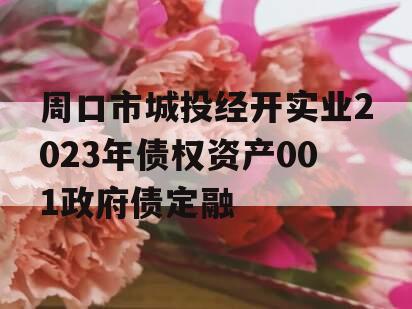 周口市城投经开实业2023年债权资产001政府债定融