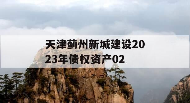 天津蓟州新城建设2023年债权资产02