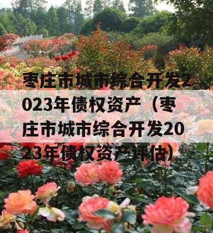 枣庄市城市综合开发2023年债权资产（枣庄市城市综合开发2023年债权资产评估）