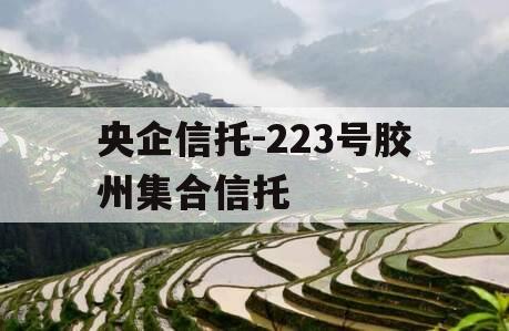 央企信托-223号胶州集合信托