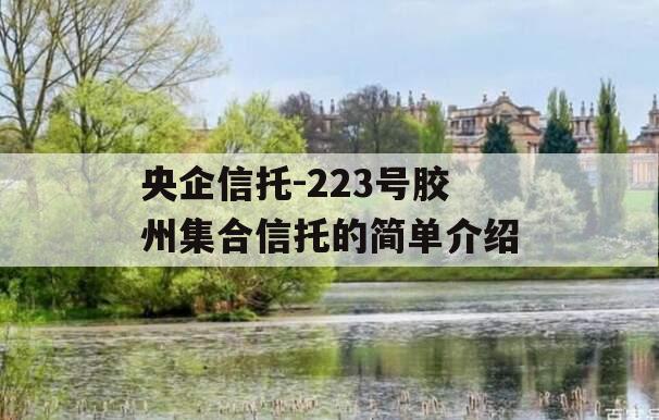 央企信托-223号胶州集合信托的简单介绍