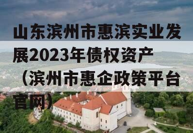 山东滨州市惠滨实业发展2023年债权资产（滨州市惠企政策平台官网）
