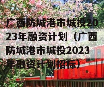 广西防城港市城投2023年融资计划（广西防城港市城投2023年融资计划招标）