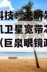 巨泉科技：未研发民用版手机卫星宽带芯片的项目（巨泉眼镜政信总店）