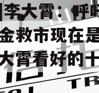 视频|李大霄：呼吁长期资金救市现在是政信（李大霄看好的十只股票）