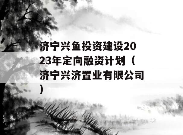济宁兴鱼投资建设2023年定向融资计划（济宁兴济置业有限公司）