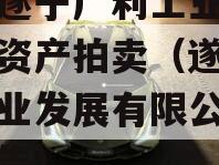 四川遂宁广利工业发展特定资产拍卖（遂宁广利工业发展有限公司评级报告）