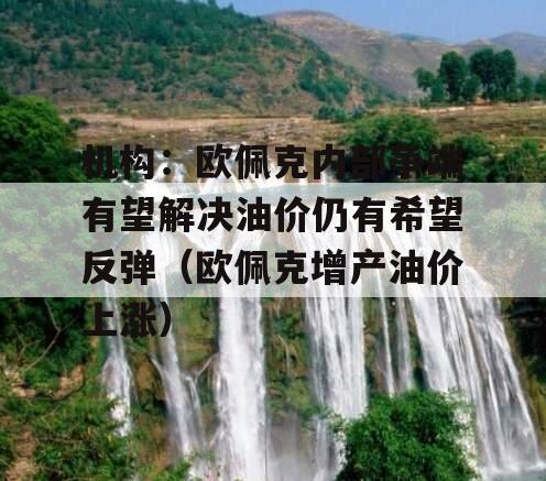 机构：欧佩克内部争端有望解决油价仍有希望反弹（欧佩克增产油价上涨）