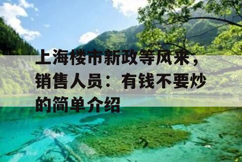 上海楼市新政等风来，销售人员：有钱不要炒的简单介绍