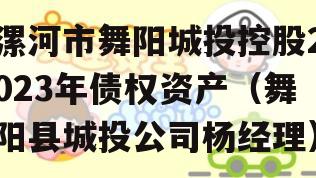 漯河市舞阳城投控股2023年债权资产（舞阳县城投公司杨经理）