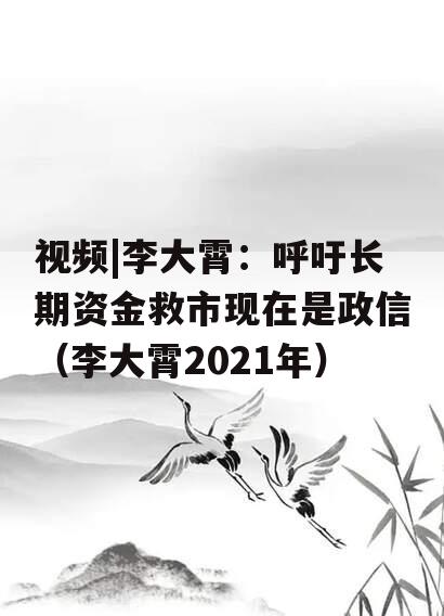 视频|李大霄：呼吁长期资金救市现在是政信（李大霄2021年）