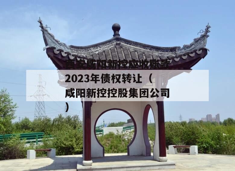 西安咸阳新控应收账款2023年债权转让（咸阳新控控股集团公司）