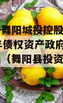河南舞阳城投控股2023年债权资产政府债定融（舞阳县投资公司）
