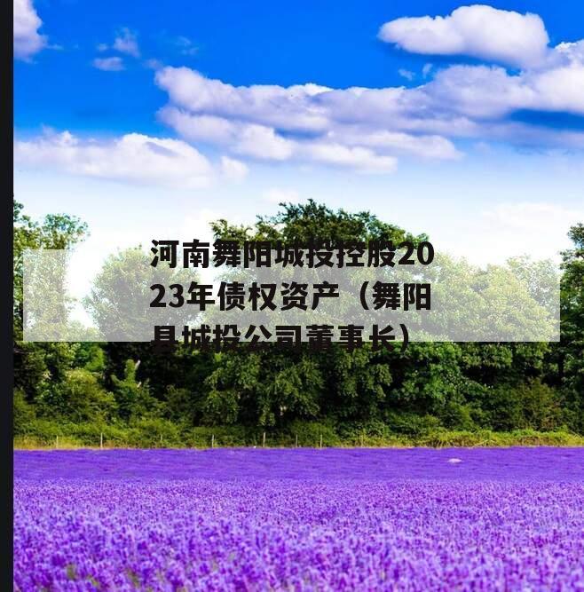 河南舞阳城投控股2023年债权资产（舞阳县城投公司董事长）