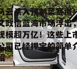 马云杀入预制菜赛道！又政信蓝海市场浮出，规模超万亿！这些上市公司已经押宝的简单介绍