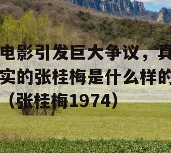电影引发巨大争议，真实的张桂梅是什么样的（张桂梅1974）