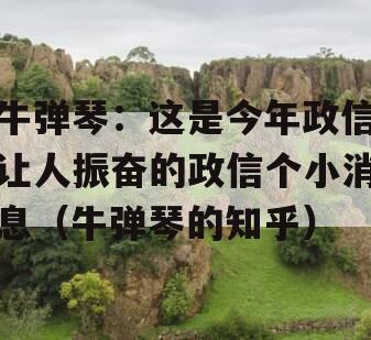 牛弹琴：这是今年政信让人振奋的政信个小消息（牛弹琴的知乎）